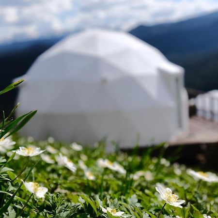 Глемпінг Де Вайб Hotel Vorokhta Bagian luar foto